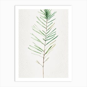 White Pine Leaf Minimalist Watercolour 3 Art Print