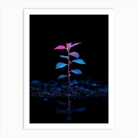 Plant On Black Background 2 Art Print