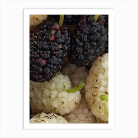 Blackberry Art Print