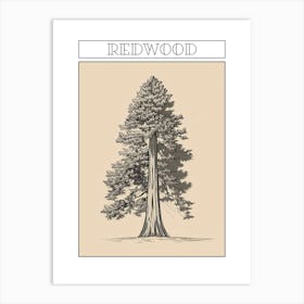 Redwood Tree Minimalistic Drawing 3 Poster Art Print