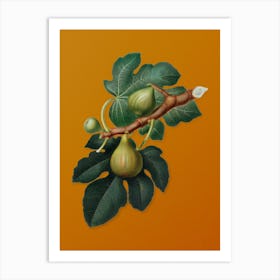 Vintage Fig Botanical on Sunset Orange n.0973 Art Print