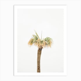 Palm Tree Art Print