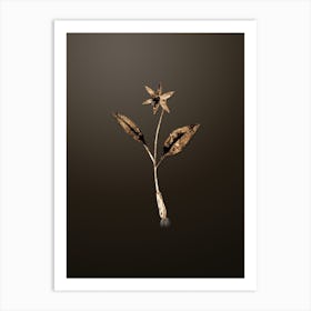 Gold Botanical Erythronium on Chocolate Brown n.4591 Art Print