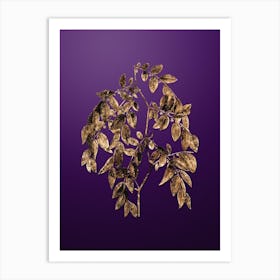 Gold Botanical Jujube on Royal Purple n.2727 Art Print