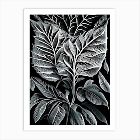 Australian Native Mint Leaf Linocut 3 Art Print