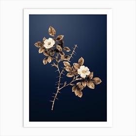 Gold Botanical Spiny Leaved Rose of Dematra on Midnight Navy Art Print