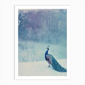 Vintage Peacock Snow Scene Blue 3 Art Print