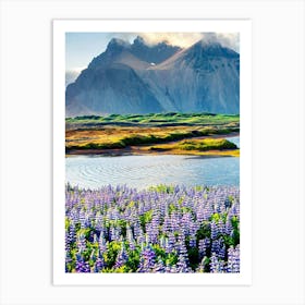 Lupine Field In Iceland 1 Art Print