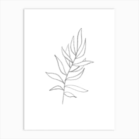 Drawing Of A Leaf Art Print