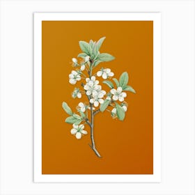 Vintage White Plum Flower Botanical on Sunset Orange n.0940 Art Print