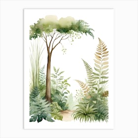 Ferns And Trees In The Forest Art Print