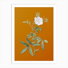 Vintage White Rose of York Botanical on Sunset Orange n.0971 Art Print