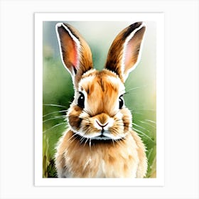 Rabbit In The Grass Watercolor Art Print