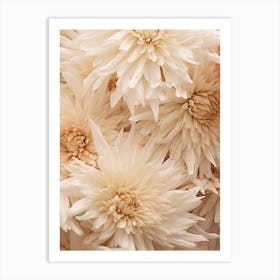 Boho Dried Flowers Chrysanthemum 4 Art Print