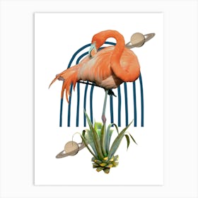 Flamingo abstract Art Print