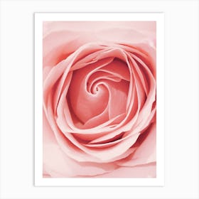 Pink Rose Canvas Art Art Print