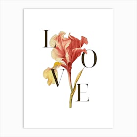 Love Iris Art Print