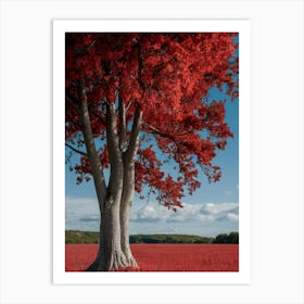 Red Tree In A Field Art Print