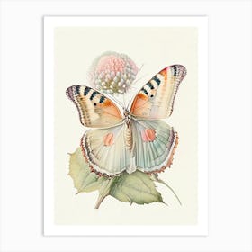 Painted Lady Butterfly Vintage Pastel 1 Art Print