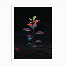 Small Plant In The Dark 1 Art Print