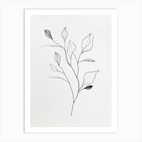 Leaves Of A Tree Art Print