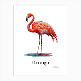 Flamingo. Long, thin legs. Pink or bright red color. Black feathers on the tips of its wings.11 Art Print