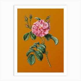 Vintage Pink Wild Rose Botanical on Sunset Orange n.0604 Art Print