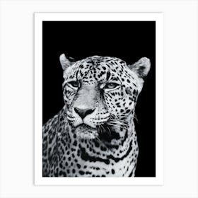 Leopard - Black And White Portrait Art Print