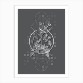 Vintage Four Seasons Rose in Bloom Botanical with Line Motif and Dot Pattern in Ghost Gray n.0128 Art Print