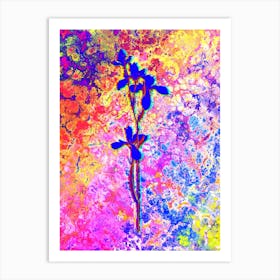 Siberian Iris Botanical in Acid Neon Pink Green and Blue n.0352 Art Print