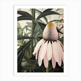 Flower Illustration Coneflower 1 Art Print