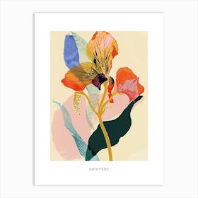Colourful Flower Illustration Poster Impatiens 4 Art Print