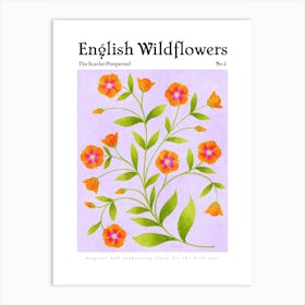 English Wildflowers Scarlet Pimpernel Art Print