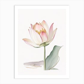 American Lotus Pencil Illustration 2 Art Print