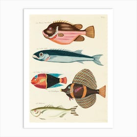 Colourful And Surreal Illustrations Of Fishes Found In Moluccas (Indonesia) And The East Indies, Louis Renard(18) Art Print