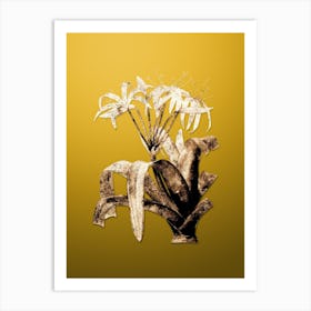 Gold Botanical Crinum Erubescens on Mango Yellow n.2976 Art Print