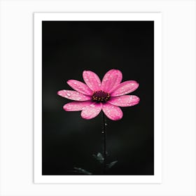 Pink Flower 3 Art Print