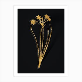 Vintage Rush Daffodil Botanical in Gold on Black n.0207 Art Print