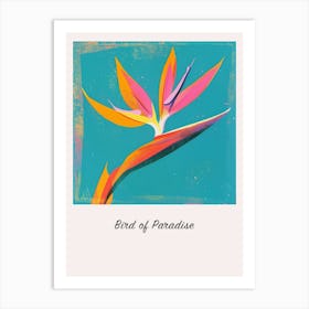Bird Of Paradise 2 Square Flower Illustration Poster Art Print