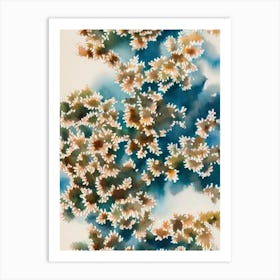 Acropora Verweyi Vintage Graphic Watercolour Art Print