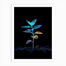 Plant Growing In The Dark 21 Art Print