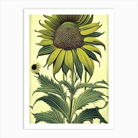 Yellow Coneflower 2 Floral Botanical Vintage Poster Flower Art Print
