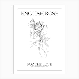 English Rose Black And White Line Drawing 23 Poster Art Print