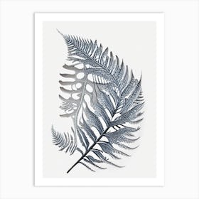 Silver Lace Fern 3 Watercolour Art Print