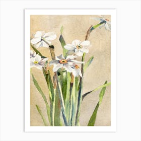 White Narcissus With Gray Accents (1915), Hannah Borger Overbeck Art Print