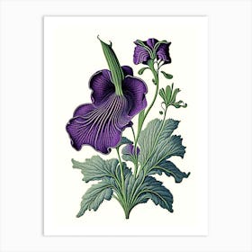 Violet Herb Vintage Botanical Art Print