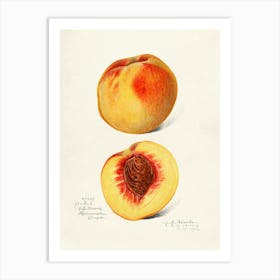 Peach Print Art Print