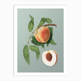 Vintage Peach Botanical Art on Mint Green n.0148 Art Print