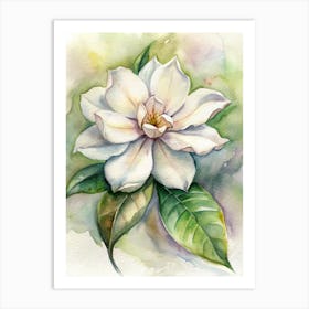 Magnolia 4 Art Print