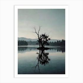 Lone Tree On Island Art Print